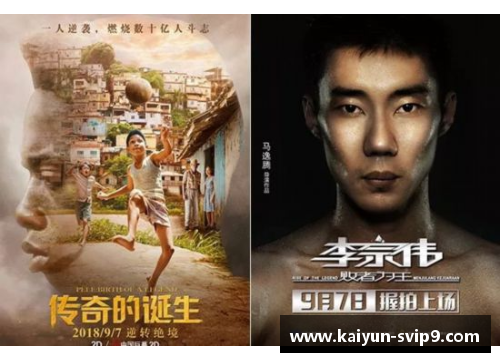 我心中最闪耀的体育明星与他们的传奇故事分享