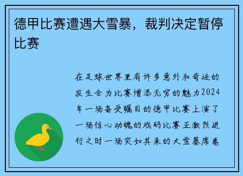 德甲比赛遭遇大雪暴，裁判决定暂停比赛